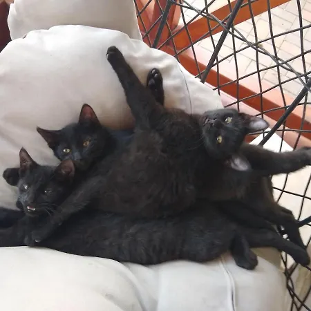 홈스테이 U Anny 볼레스와비에츠