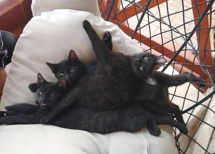 Homestay U Anny Boleslawiec (Lower Silesia)